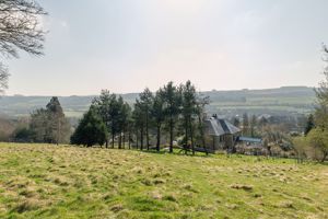 Photo 28- click for photo gallery